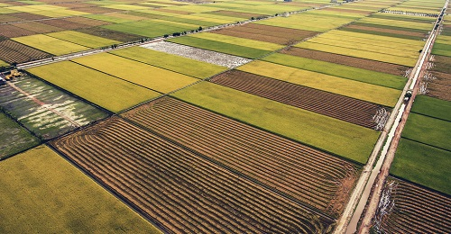 1646288533172092.png image.png