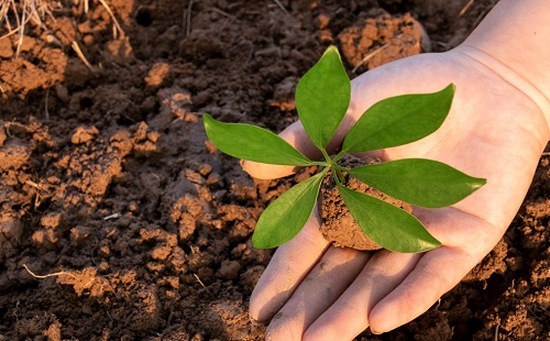 1646727837150599.png image.png