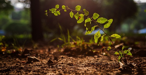 1651903234126130.png image.png