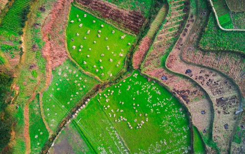 1653966510896665.png image.png