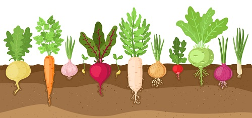 1661395276636820.png image.png