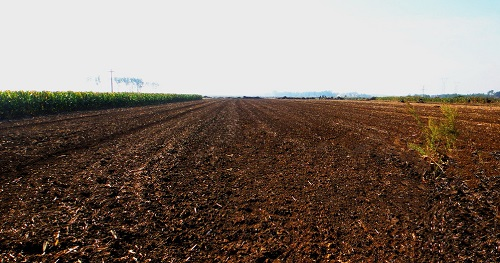 1671605537184849.png image.png