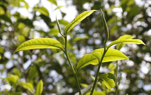 1676957101171710.png image.png