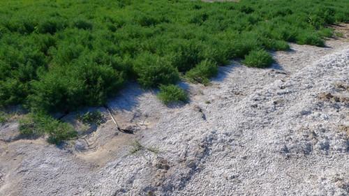 酸性妖精视频免费高清观看改良的常用方法